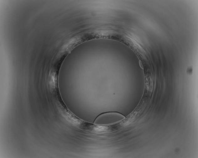 X0000097880718200803141320