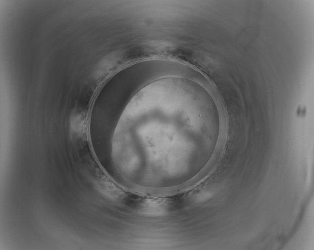 X0000097880720200803141320
