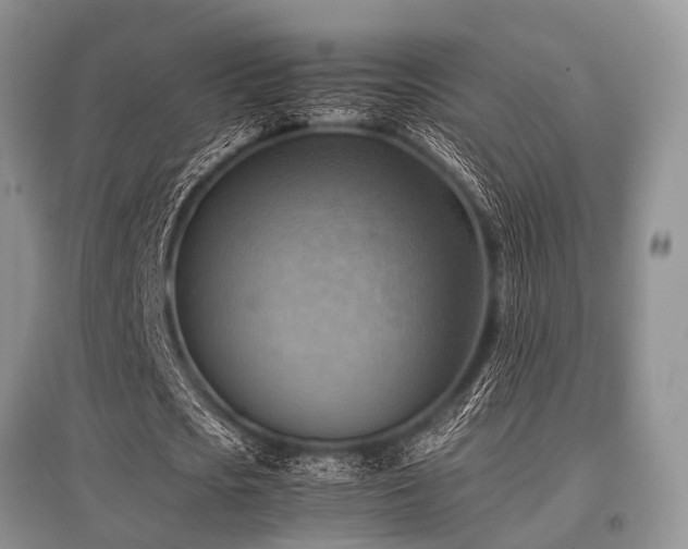 X0000097880721200803141319