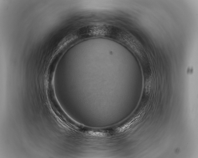 X0000097880722200803141319