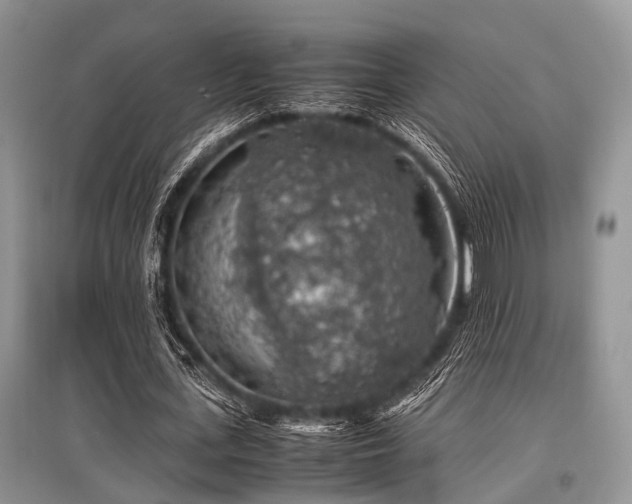 X0000097880723200803141319