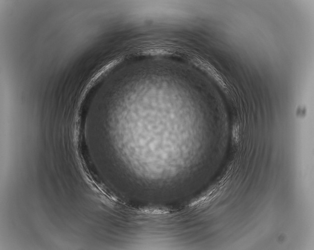X0000097880724200803141319