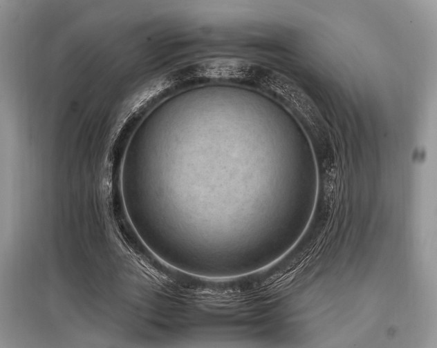X0000097880727200803141319
