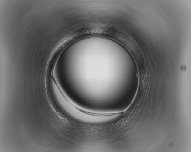 X0000097880728200803141319