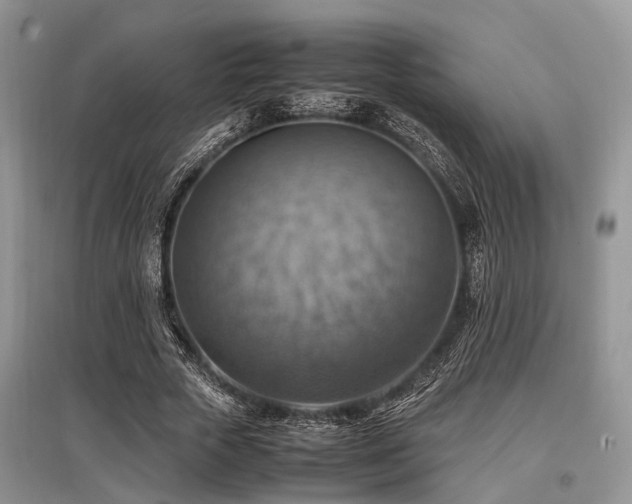 X0000097880729200803141319