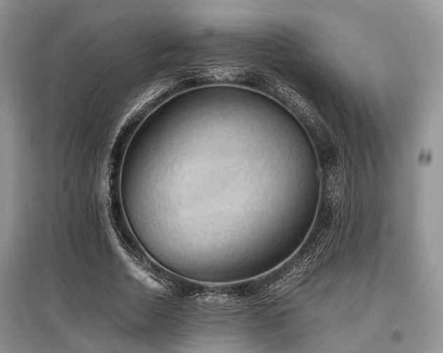 X0000097880730200803141319