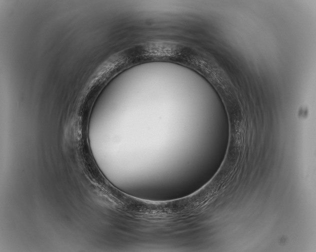 X0000097880731200803141319