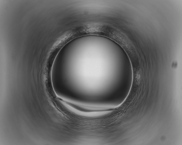 X0000097880732200803141319