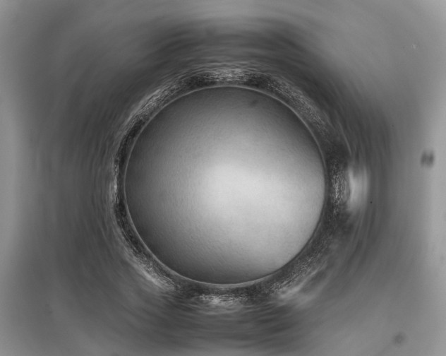 X0000097880733200803141319