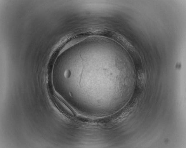 X0000097880734200803141319