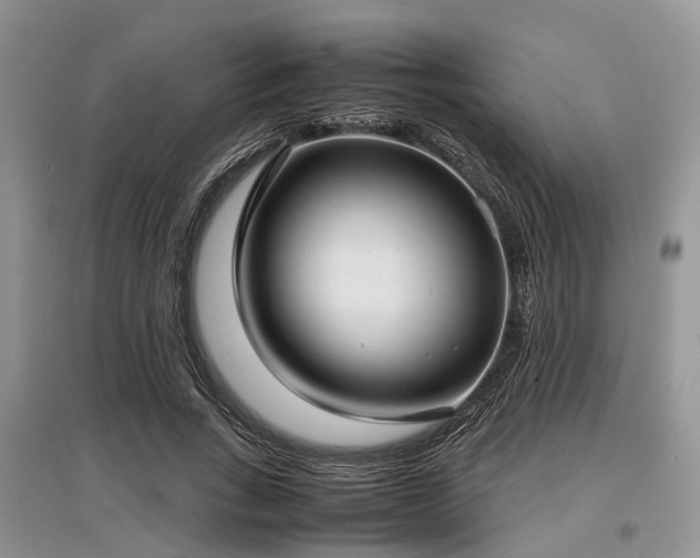 X0000097880735200803141319