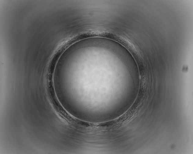 X0000097880736200803141319