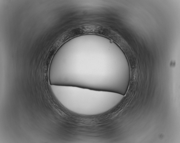 X0000097880737200803141319