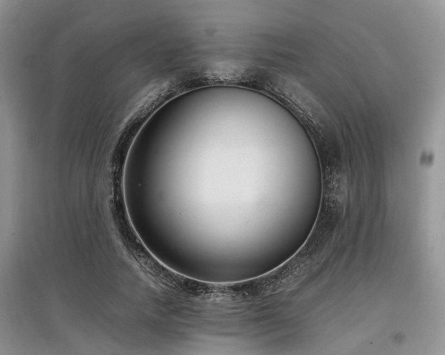 X0000097880738200803141319