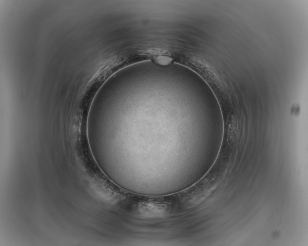 X0000097880739200803141319