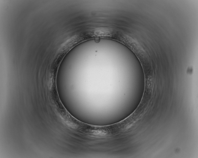 X0000097880741200803141319