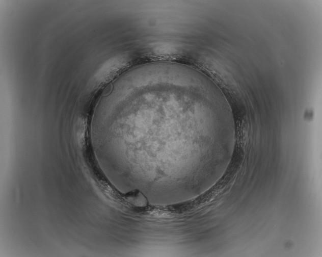 X0000097880742200803141319
