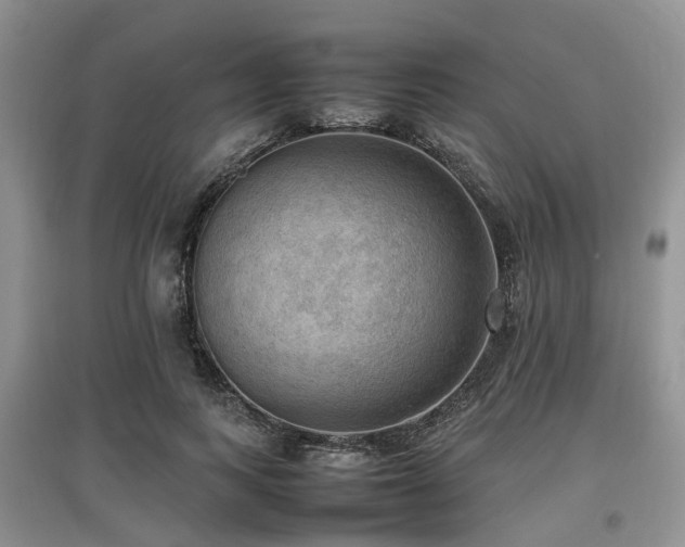 X0000097880743200803141319
