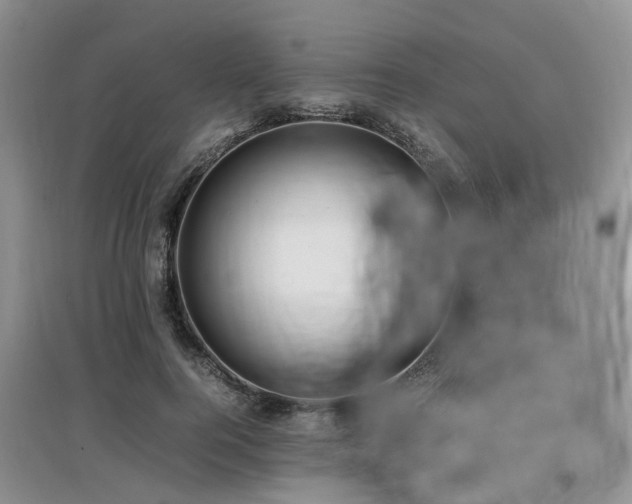 X0000097880744200803141319
