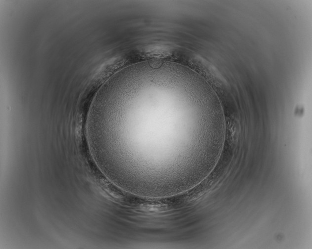 X0000097880745200803141319