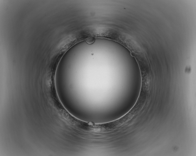 X0000097880746200803141319