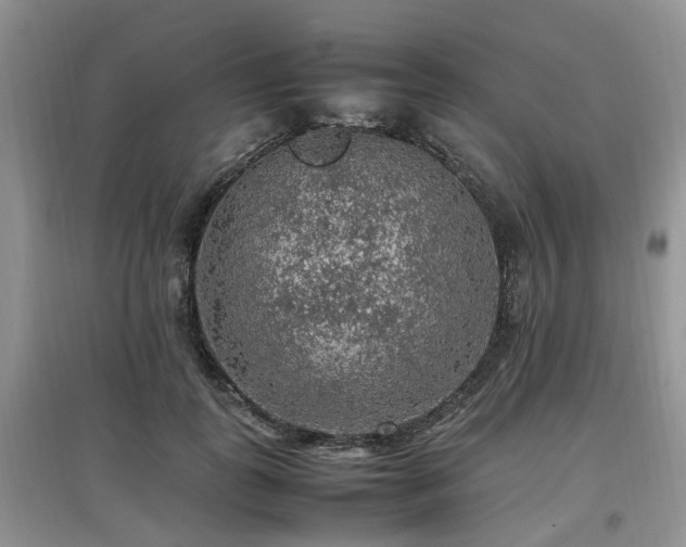 X0000097880747200803141319