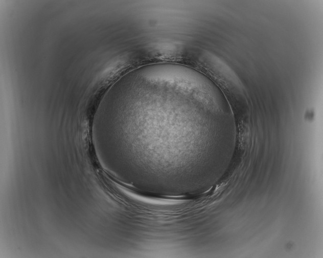 X0000097880748200803141319