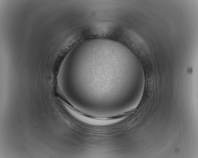 X0000097880750200803141319
