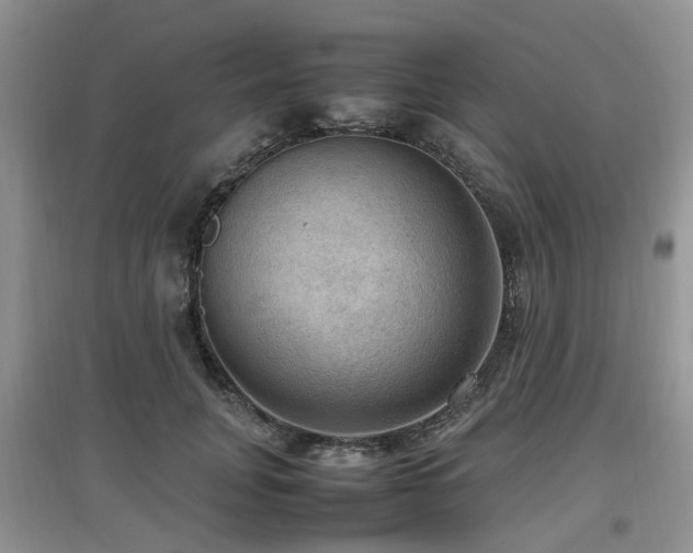 X0000097880751200803141319