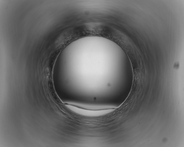 X0000097880752200803141319