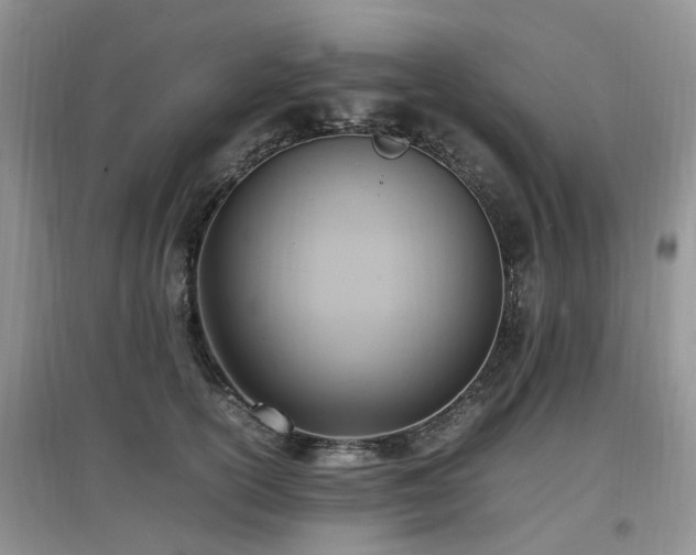 X0000097880754200803141319