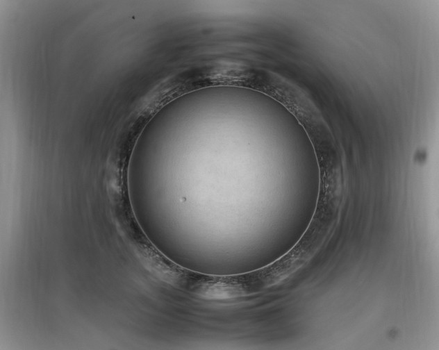 X0000097880755200803141319