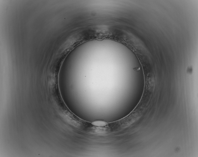 X0000097880756200803141319