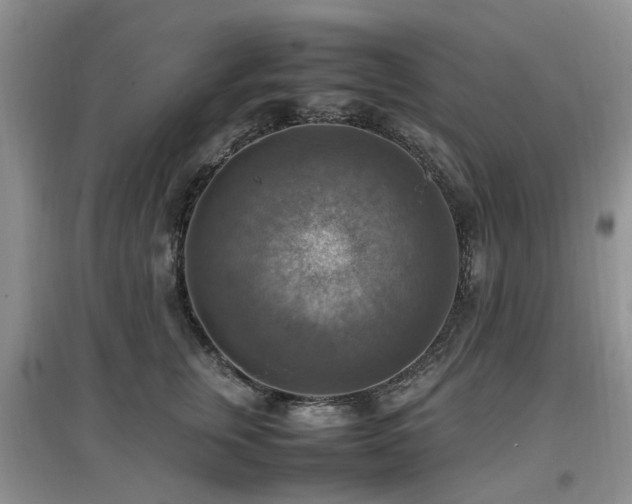 X0000097880759200803141319