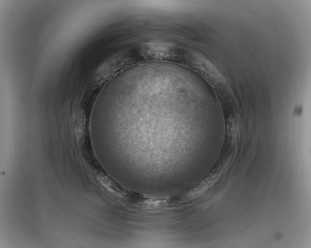 X0000097880760200803141320