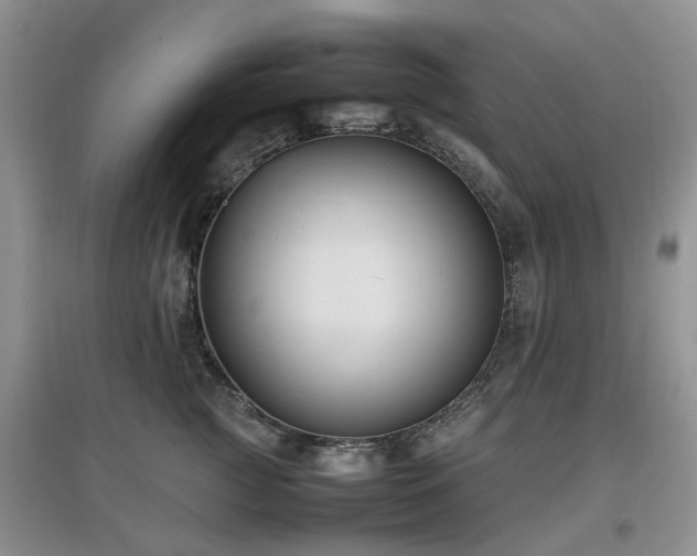 X0000097880761200803141320