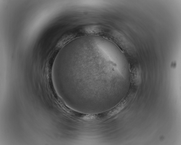 X0000097880762200803141320
