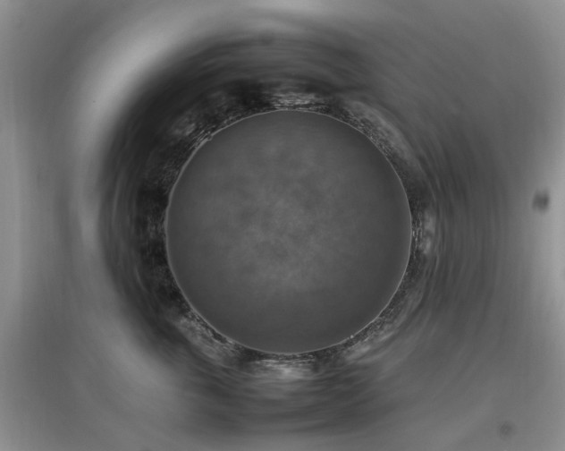 X0000097880763200803141320