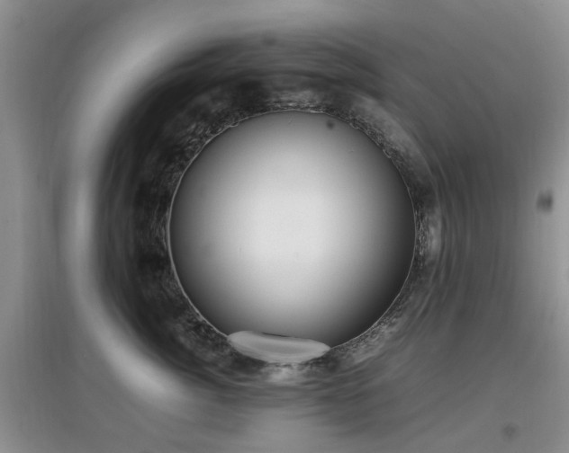 X0000097880764200803141320
