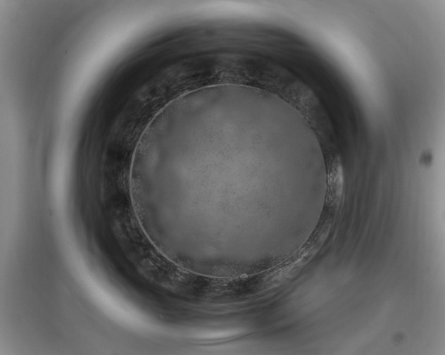 X0000097880765200803141320