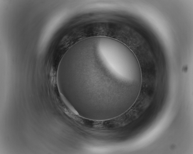 X0000097880766200803141320