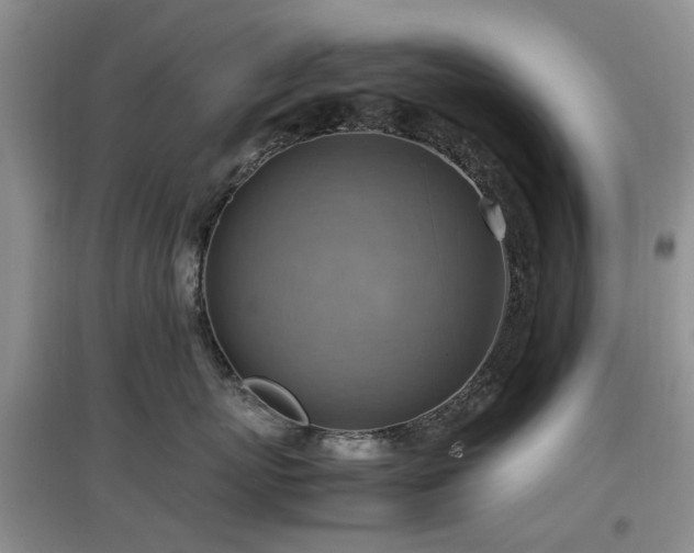 X0000097880767200803141320