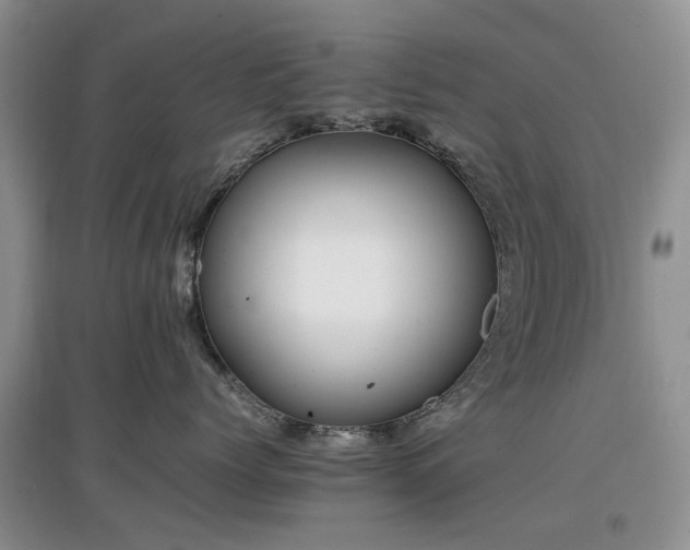 X0000097880768200803141320