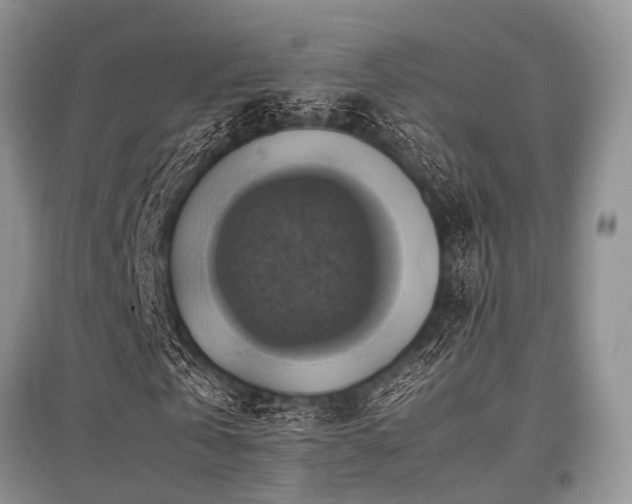 X0000097880769200803141319