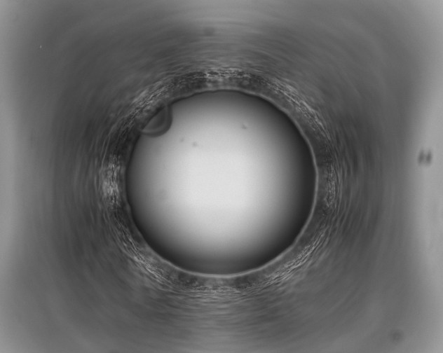 X0000097880770200803141319