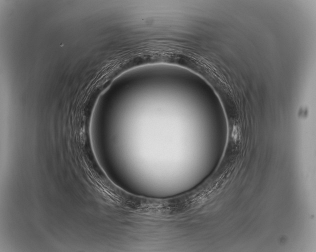 X0000097880771200803141319