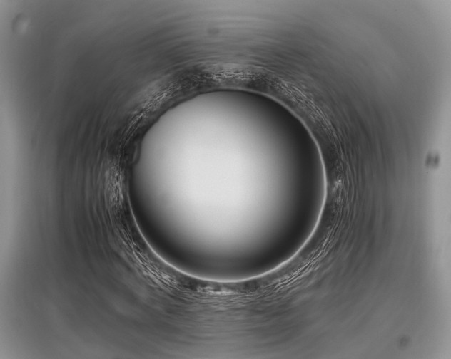 X0000097880772200803141319