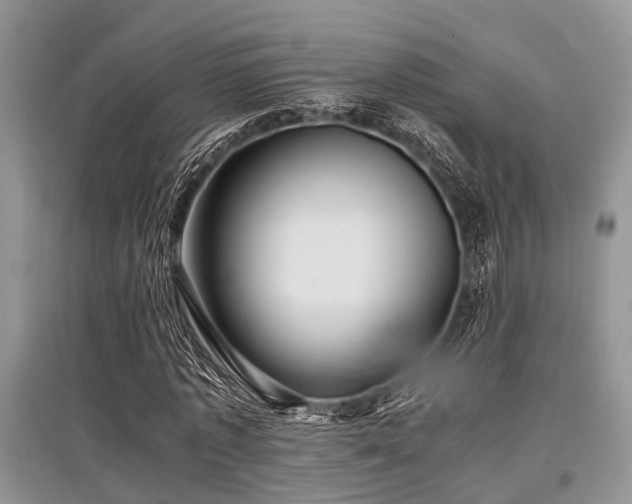 X0000097880773200803141319