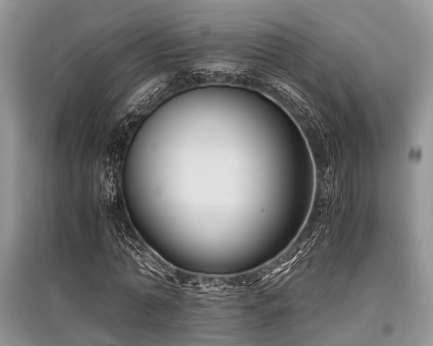 X0000097880774200803141319