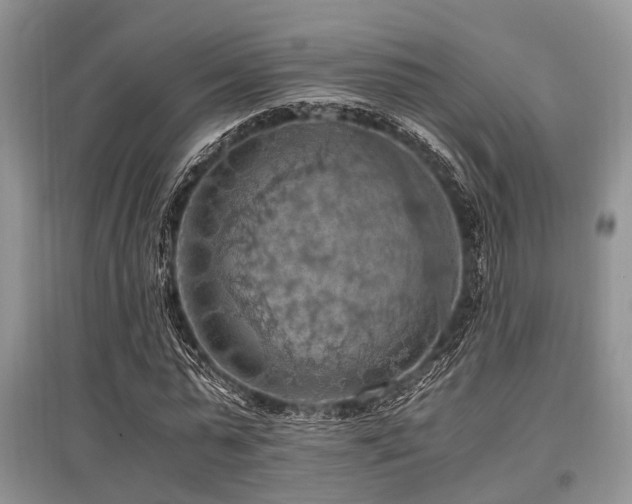 X0000097880775200803141319